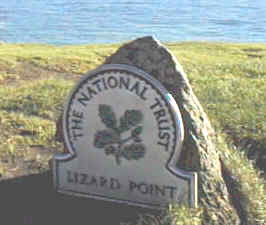 national trust, lizard