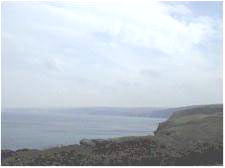 polzeath 4